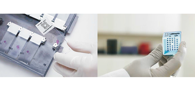 JBO��Ѷ����