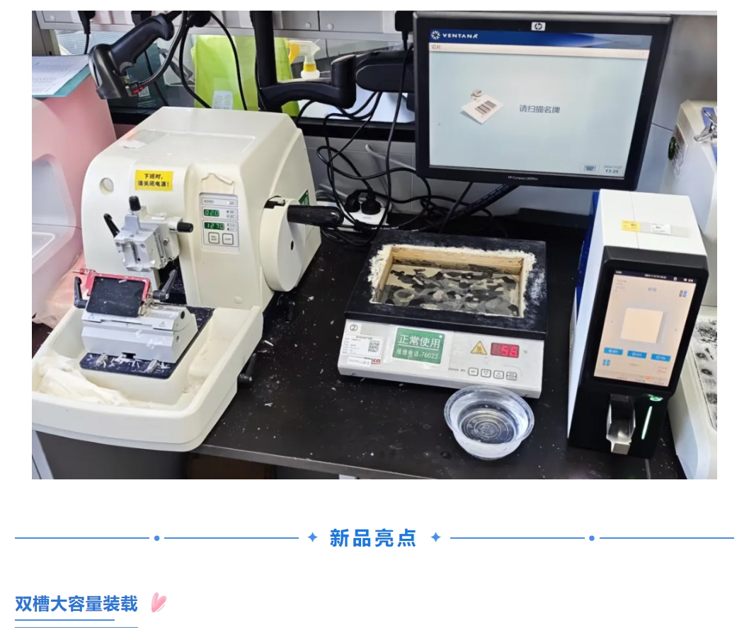 JBO��Ѷ����