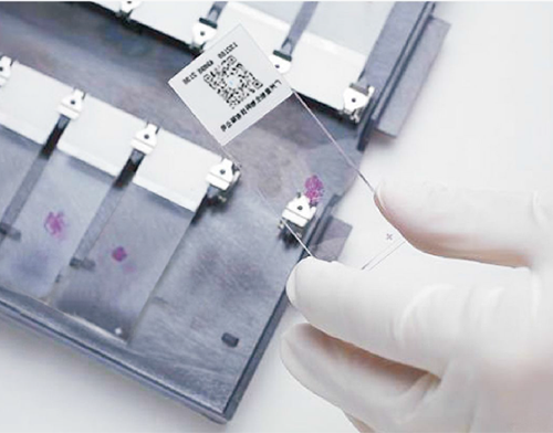 JBO��Ѷ����