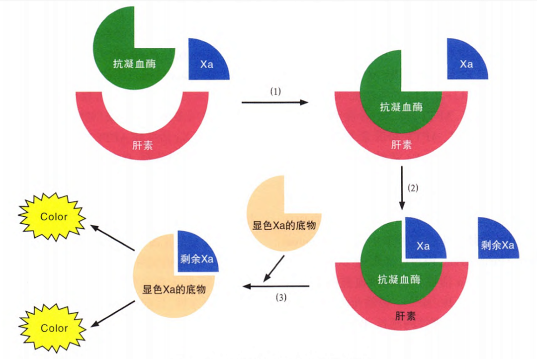 bodog官网 - 相信品牌的力量